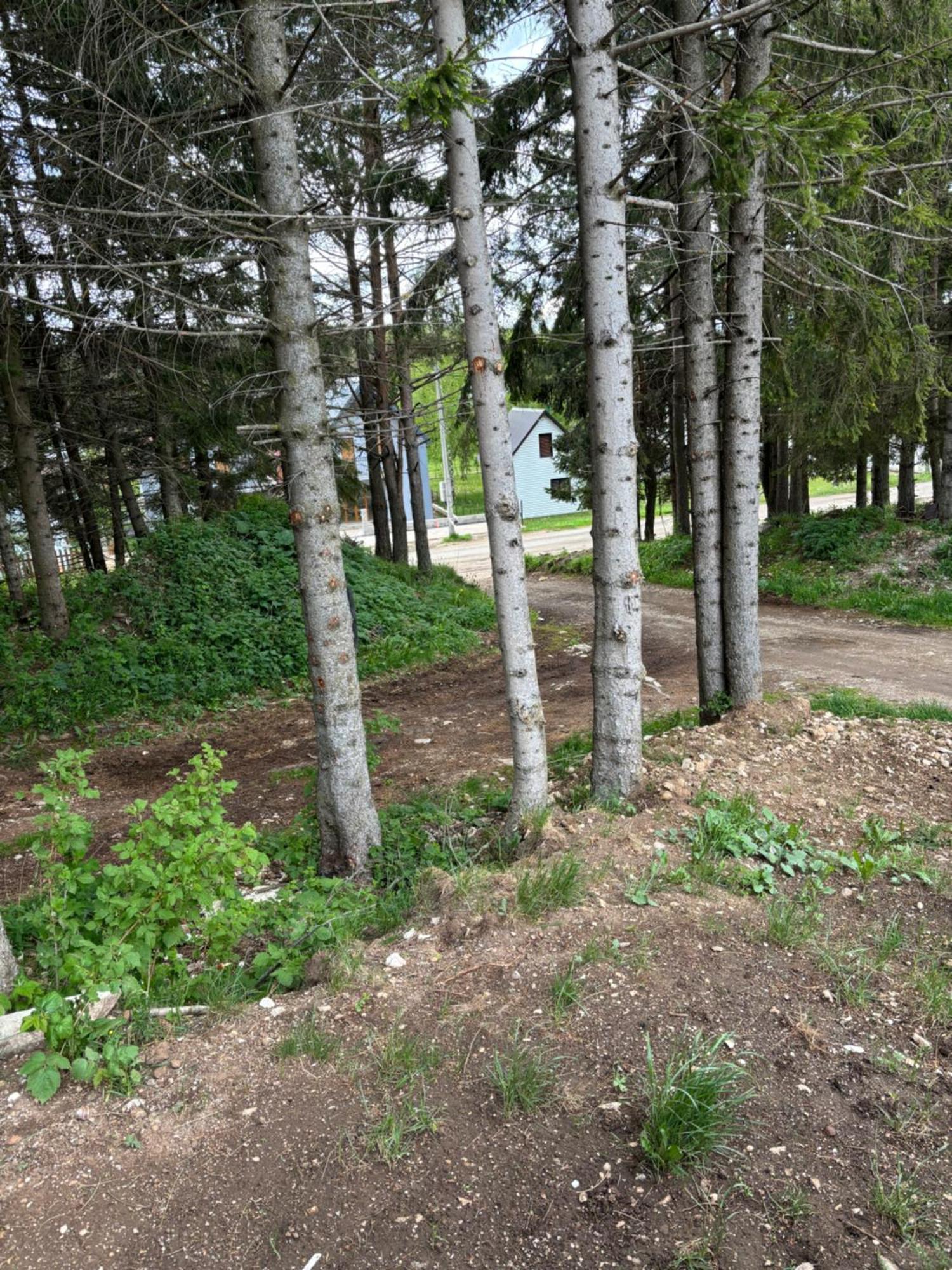 Holiday Home ,,Lazar" Žabljak Exterior foto